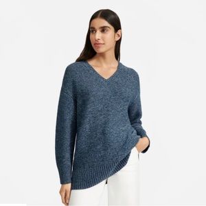 Everlane blue cotton marl v neck oversized sweater S
